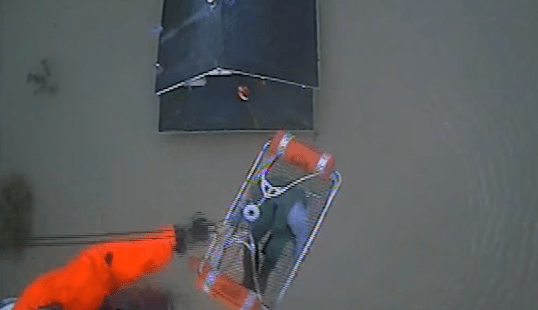 A US Coast Guard helicopter team rescues four. people from the roof of their house after the home was surrounded by flood water in Sumas, Wa.